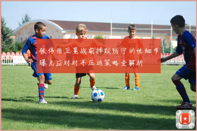 张伟丽卫冕战前摔跤防守训练细节曝光应对对手压迫策略全解析